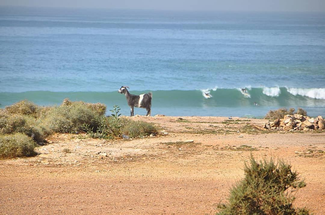 Hotel Manzili Surf House Tamraght Esterno foto